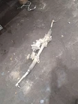 2017 Acadia Power Steering Gear/rack And Pinion SKU#4412348. Fixed Price $140.50.