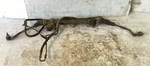 2009-2012 Audi A5 Quattro S4 Power Steering Gear Rack & Pinion 8T1422065P Oem.. Fixed Price $146.99.