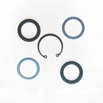 Steering Gear Pitman Shaft Seal Kit Edelmann 8515. Fixed Price $31.27.