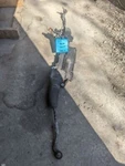 Steering Gear/rack Type E400 Rwd Fits 12-17 Mercedes E-class , 2074601400. Fixed Price $494.24.