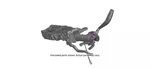 Genuine 2019-2023 Chevrolet Gmc Steering Column 85565580. Fixed Price $337.02.
