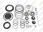 Transtec #8823 Sheppard M100 Steering Gear Seal Kit (alt #8898). Fixed Price $145.00.