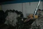1) Bmw Oem 262043000 Used Mmanual Transmission Speed Getrag 225 1.2. Fixed Price $718.80.